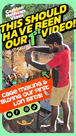 Cashien Mathews Vlogs on Instagram: "கிளிகள்களுடன் எங்கள் ஆரம்பம் எங்கள் முதல் Lorikeet ஜோடி | Our First Lori Parrot Pair Breeding Cage இந்த வீடியோ தான் எங்கள் பறவை பயணத்தோட உண்மையான ஆரம்பம். Ringneck, Lori, Sun Conure பறவைகளுக்காக, முழுக்க முழுக்க கைகளாலே ஒரு breeding cage எப்படி செஞ்சோம், அதோட சேர்த்து எங்கள் முதல் Lori pair-ஐ வாங்கின அந்த moment எல்லாமே இந்த வீடியோல இருக்கு. இந்த cage-ஐ முழுசா design பண்ணி கட்டி முடிச்சது என் friend ராசன், a.k.a John Hiller. இது தான் எங்கள் Parrot Breeding Se