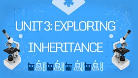 Unit 3: Exploring Inheritance