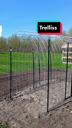 Modern Homestead on TikTok