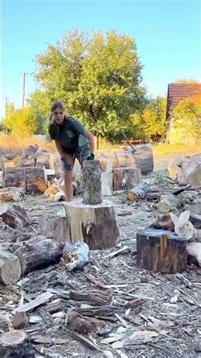 Firewood Process