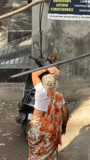 What happens when you throw a stone to a monkey?! 🐵 #shorts