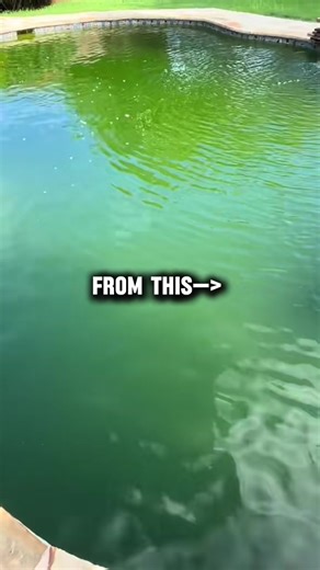 Proud owner of MC Pool Services here in Austin, TX! What makes it even better? The fact that most of the pools I take care of are right in my small hometown of Elgin. Love serving my local community! 💧🏡