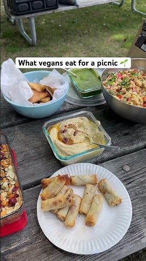 Vegan food ideas for picnic!