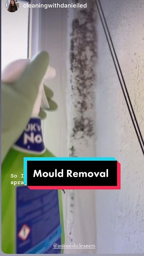 Effective Mould Removal from Walls Using Astonish Blaster