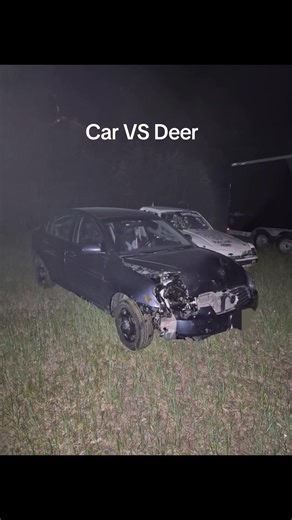 #fyp #montana #towlife