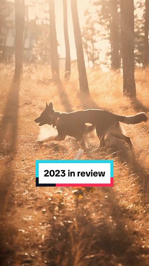 2023 wrapped: In January Fable got the “all clear” from her surgeon to begin returning to normal activity. See our year together in 30 seconds of making sure that was the fullest return it could be: including hiking, sports, beach days, travel and more. #dogsoftiktok #germanshepherd #hiking #bestfriends @Ruffdogsports