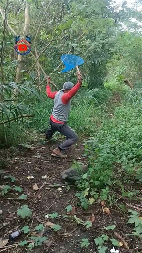 there is someone catch chicken pearls using nets #nature #amazing #shortvideo