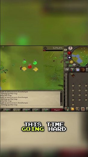 Red Chinchompas: Insane XP Farm!