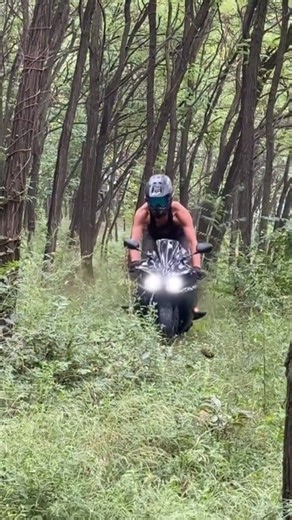 jungle Devil 😈 | Dirt 737