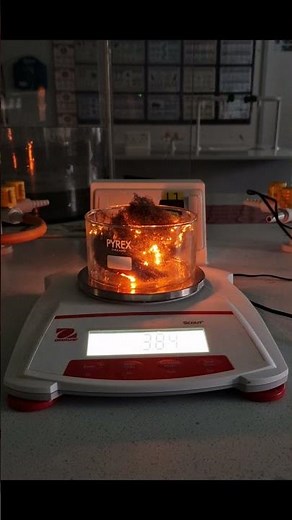 Iron Wool Burning...Does The Mass Go Up or Down?