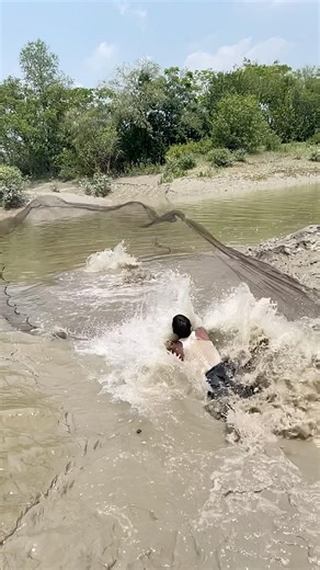 big fish catching by casnet fishing #fishing #fishcatcher #fishingequipment #fishingdaily