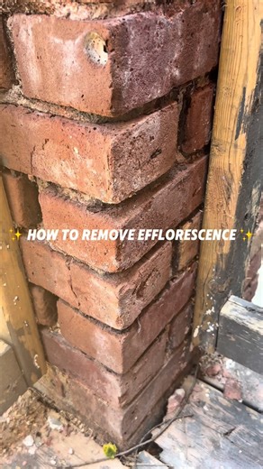 Brick Cleaning | Transformations | Restoration on Instagram: "How To Remove Efflorescence Efflorescence can either be extremely easy to remove or extremely hard remove. In 99% of cases it’s pretty easy. A simple brush and vacuum to get the bulk then a few applications of efflorescence cleaner do the trick. The tough part about efflorescence is that it can come back if the root cause of the efflorescence is not addressed, ie water. Comment if you want the efflorescence cleaner we use!"