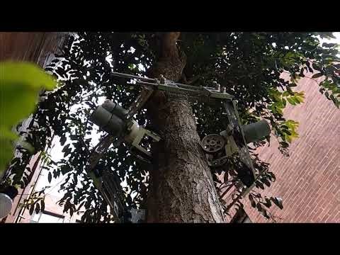 Flexible Tree Climbing Robot - Concept
