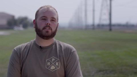 Cane Corso: Protection testing the breed