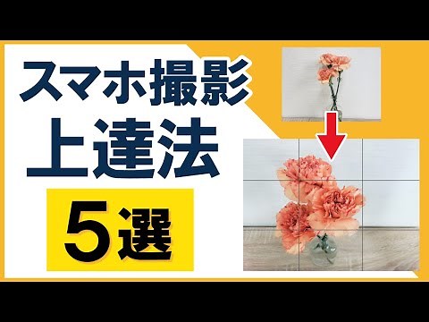 [Photography Course] Anyone can take professional-looking photos! 5 ways to take great photos wit...