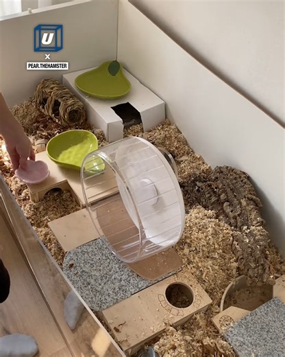 1.5M views · 3.7K reactions | This is less a hamster cage and more a hamster hotel!  | UNILAD Tech | Facebook