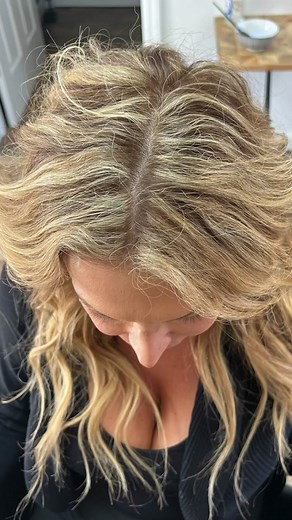 Lanza Hair Color Formulas Tutorial