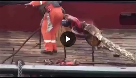 Workplace Safety Maritime Operation Snap Back Zones | Anupsinh Mandora posted on the topic | LinkedIn