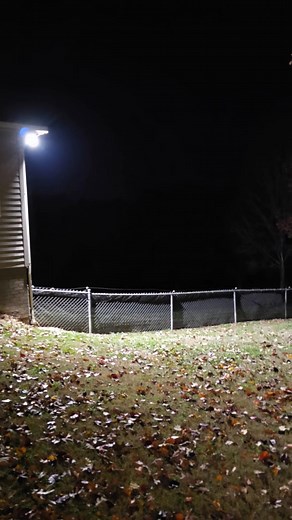 Is that coyote's making this noise, that's Berkley grunting lol, i'm pretty sure it is, but that's an unusual sound for them, they were very close. I don't think it was a dog because i've never heard it before.. | Kim Pierce