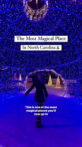 ✨The perfect date weekend✨ @tryon_international has so many options when it comes to enjoying the holidays! From s’mores to festive drinks to pictures with Santa and even riding the carousel! (Or a real horse on one of their guided trail rides!) We seriously talked about how this was the most festive thing we’ve done in a long time and we plan to make it a tradition! It was a magical weekend and we can’t wait to go back! @tryon_international @tryonresort #happyholidays #merrychristmas #festival 