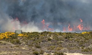 Firefighters battle gorse blaze near Fort George army barracks