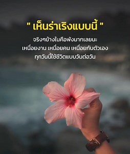 ฟิลเตอร์สีเทา on Reels