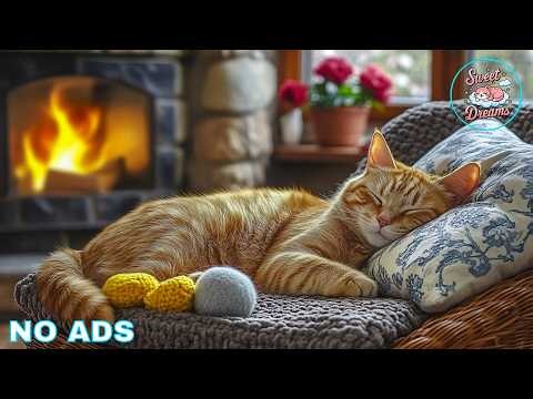 12 Hours Calm Music For Cats 💤 Sleeping Music For Cats - Peaceful Piano Sounds For Cats Deep Sleep