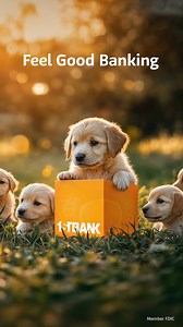 Keeping banking simple, so you can keep moving forward. FirstBank provides the tools and support you need to feel good about your finances. | FirstBank