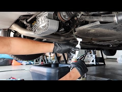BMW E46 M3 differential fluid change (DIY14)
