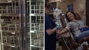 Mattress Mack hosts free pet food giveaway with Houston SPCA