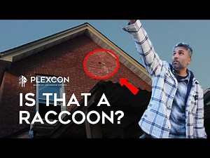 What It Takes to Convert a Home Into a Multiplex | Behind the Scenes with Plexcon Construction