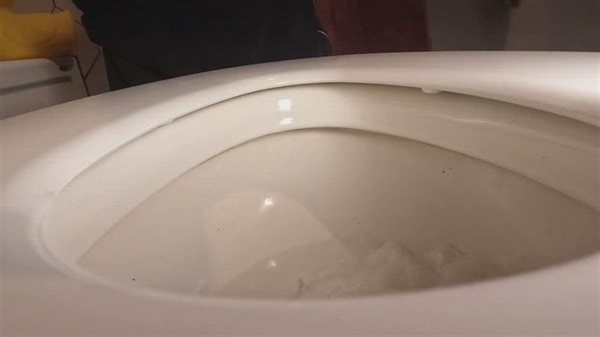 (F) classy stars in "farting while pooping & pathetic turds compilation" 😍