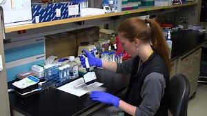 Measuring Mitochondrial Function of Naïve and Effector CD8 T Cells