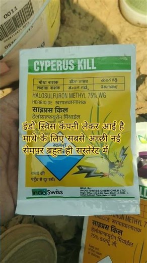 Indo Swiss company brings new sempre at very cheap rate #2026 Which is the best weedicide