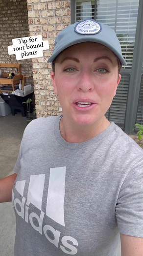 62K views · 1.1K reactions | Got a root bound plant? Before re-potting it, make a few vertical cuts to help the roots grow in the right direction. | From Dream to Seed | Facebook