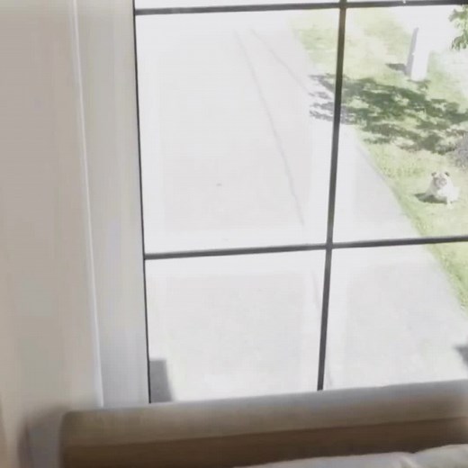 Otis and Olympia: The Dynamic Duo of Odd Squad