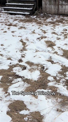 The Spooky Window Explained: Clearing Up Rumors