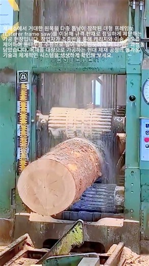 대형 원목을 규격화된 목재로 대량 가공하는 제재소 작동 원리 #worker #process #sawmill #timber #woodworking