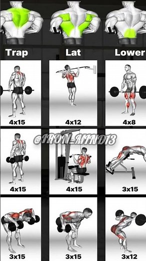 STRONGER Back with DUMBBELLS: Best Dumbbell Back Workout!