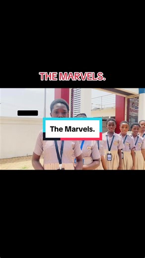 Understanding Male Animal Names: A Fun Overview