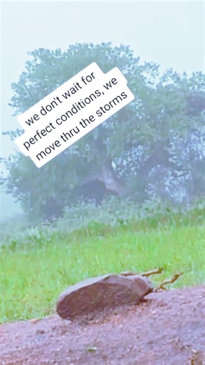 UPDF AT WORK #shorts #music #ugandanmusic