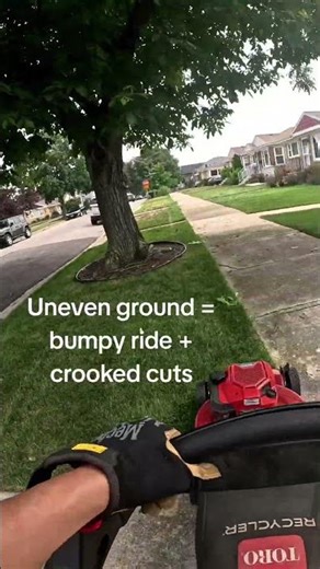 POV: You just wanted a clean yard but the lawn had other plans 😅🌱 #fyp #relatable #lawncare