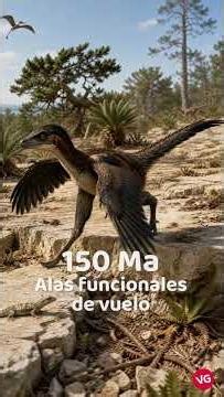 La Evolución de la Gallina