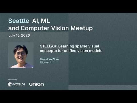STELLAR: Learning sparse visual concepts for unified vision models