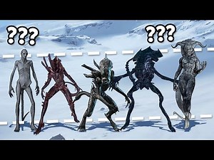 Todos Los 31 Xenomorfos De Las Películas de Alien Explicados