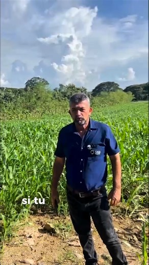 986 reactions · 21 shares | ‍ ¡Un cultivo limpio es un cultivo...