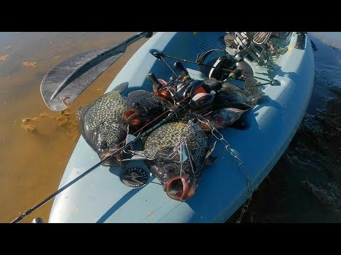 Spring Crappie Fishing with BFS Tackle (Lake Berryessa)