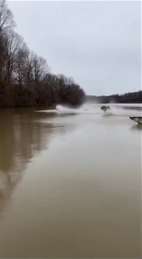 Случай на рыбалке 🥶 #приключения #animals #fishing #fish #fishingvideo #fishinglife #viral