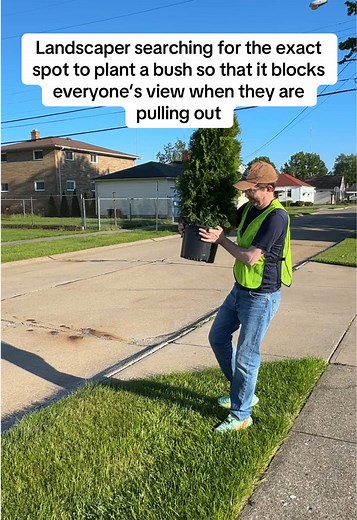 #landscaping #comedy #plants #millennialsoftiktok #arborvitae | landscaping