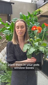 Emma Real-Davies shares her garden jobs for the month! What's on your May gardening checklist? 🏡📝🌱 https://www.qvcuk.com/garden-and-leisure/garden/_/N-lfpjZlhcxZeq596bZ17mvfrzZ1z13z5y/c.html?cm_mmc=Social_Organic-_-FB_Q-_-Garden30%offer-_-Garden&cid=FB-OSCQ-Garden30%offer | QVC